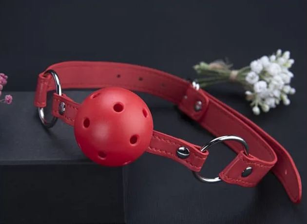 Kit de bondage en cuir rouge passionné